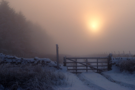 Winter sunrise - winter, fog, silence, beautiful, snow, landscape, sunrise, morning, fence, frozen, nature, cold, background, sun, sky