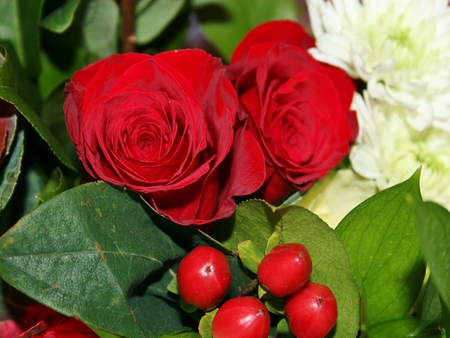 Red Roses - leaves, rose, red, fruit