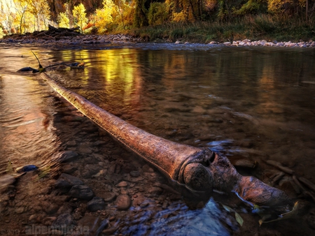 Clear River - stream, nature, clear, river