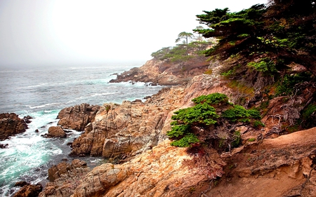 COASTAL HILLS - hill, trees, nature, landscape, hillside, mountain