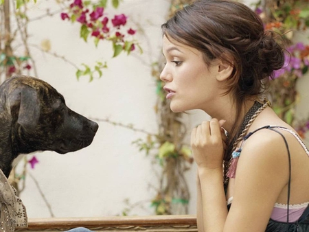 Rachel Bilson - rachel, gorgeous, model, rachel bilson, actress, bilson, dog