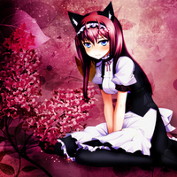 Beauty Kitty