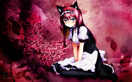 Beauty Kitty - beauty, touhou, girl, pc, game, classic, anime