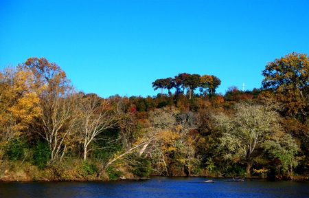 Cumberland River - river, trees, water, autumn, cumberland, sky