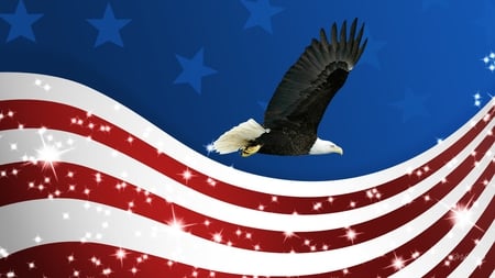 Freedom Flys