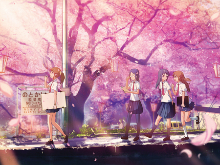 Cherry blossoms - student, blossom, cherry, tree, young, anime, girl