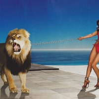 Kelly-Brook w Lion