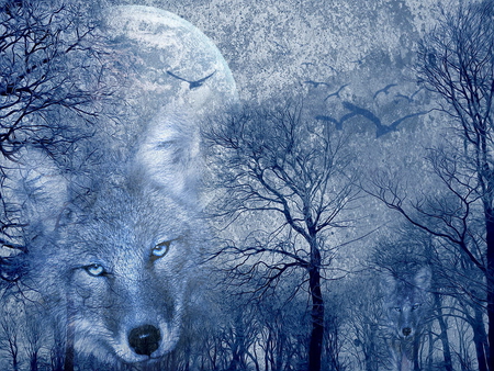 Wolf - moon, wolf, trees, animal, fantasy, planet