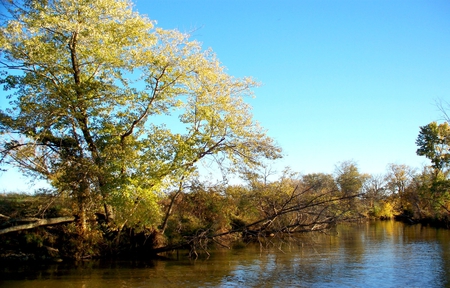 Cumberland River - cumberland, sky, autumn, fall, trees, blue, river, water