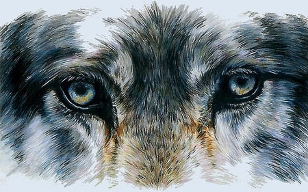 Loki - drawing, wolf, eyes, lobo, art, loki, animals, wolves