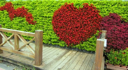 Wall displaying - fresh flowers, wall displaying, heart, wood railings