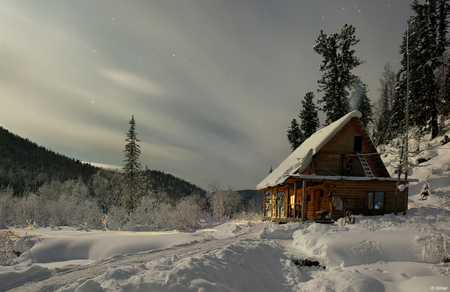 Winter Lodge - trees, winter, trails, beautiful, lodge, snow, stars