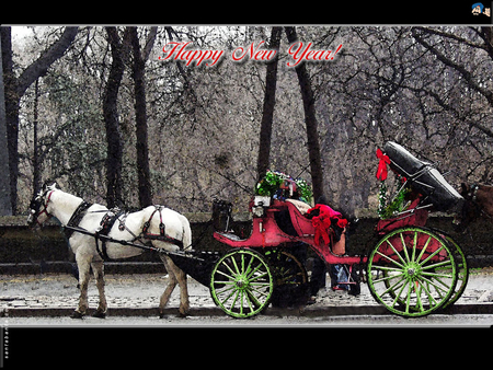 Holiday Carriage - carriage, holiday, horse, animals