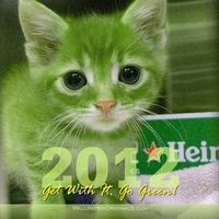 Happy New Year Cat