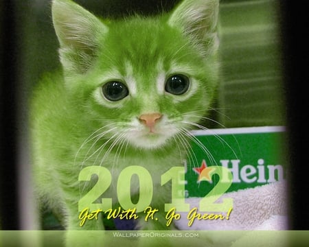 Happy New Year Cat - litle, cute, calendar, kitty