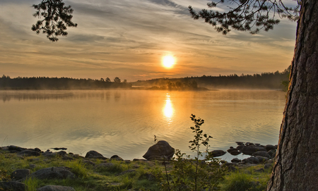 A Perfect Dawn - beautiful reflection, lake, morning, tree, sun