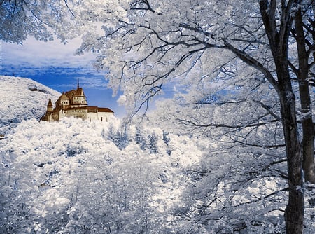 castle of Vianden - luxemburg, vianden, landscape, infra red, castle