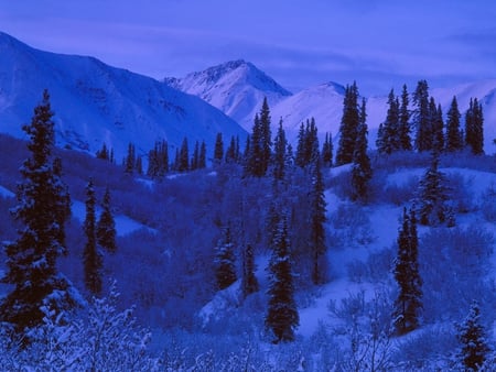 blue mountains - nature, mountains, landscape, blue