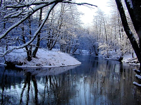 river - river, trees, frozen, winter, water, nature, snow