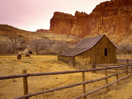 Wild horses - farm, horses fence, arizona, wild, beautiful, house, colors, desert, canyonland, barn