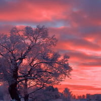 Snow Sunset