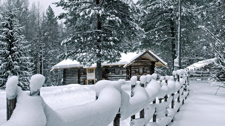 Deep winter - snow, winter, forest, cabin