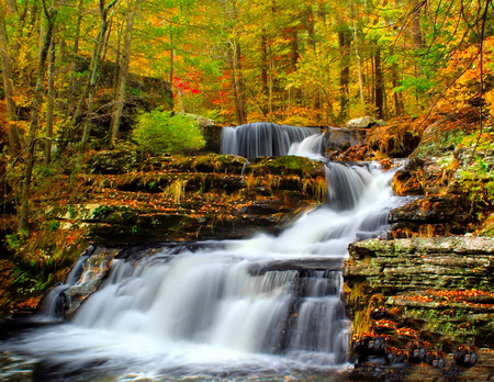 Autumn waterfall - nature, autumn, fall, cascade, water stream, waterfall