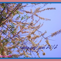 Happy new year 2012