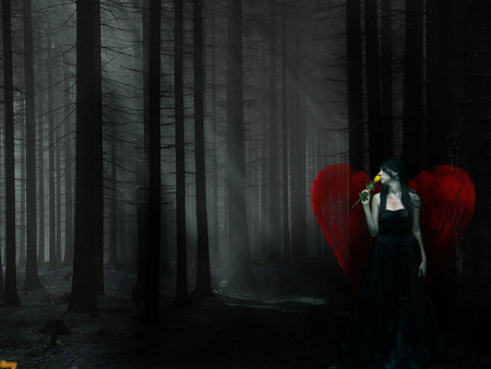 Angel in the forest - forest, rose, gothic, shadow, angel