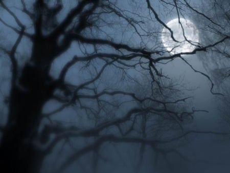 The dark night - moon, gothic, night, dark