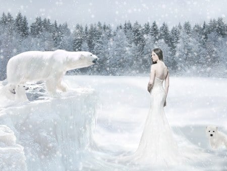 Arctic Queen - season, bears, cg girl, queen of the winter