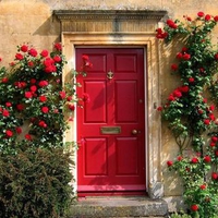 red roses house