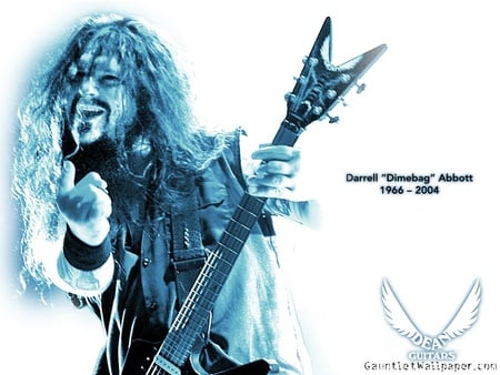 R.I.P. Dimebag - music, dimebag, metal, pantera