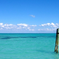 Blue Ocean