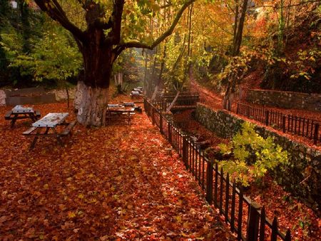 yardan tiny river,turkey - leaves, tiny, autumn, turkey