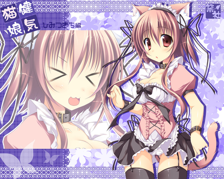 Cute Girl ^ ^ - anime, neko, catgirl, uleq