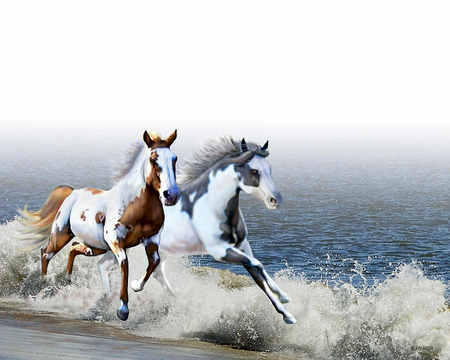 By Barbara Hymer - animal, beach, run, barbara hymer, art