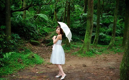 White Umbrella - drees, trail, model, outdoors