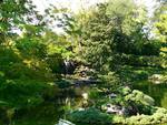 Fort Worth, Japanese Garden