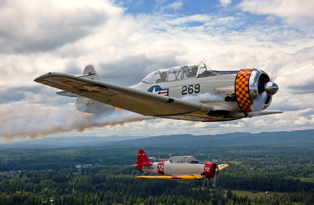 SNJ-4 Texans - airplane, war, snj, plane, north, american, snj-4, world, at6, ww2, classic, at-6, t6, antique, wwii, t-6