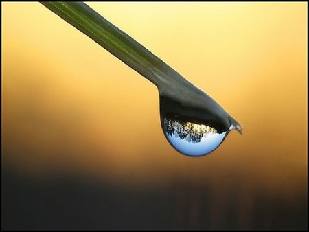 Scene In The Water - abstract, photography, water, mind teasers, dew, drops