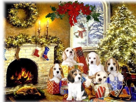 Happy new year my friends in DN!! - new year, puppy, christmas, living room, home, fireplkace, december, dog, holiday, animal