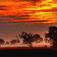 MISTY DUSK