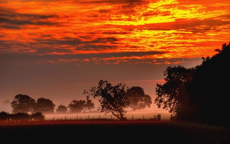 MISTY DUSK - misty, trees, sunset, fog, dusk, field, fence