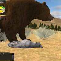 Bears in WolfQuest