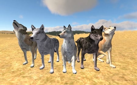 Multiplayer - nature, games, wolfquest, animals, wolves