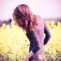 Alone in yellow field