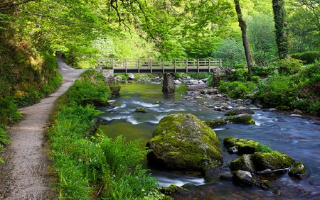 Spring woodland, England. - woodland, moss, path, spring, trail, river, rock, tree, bridge