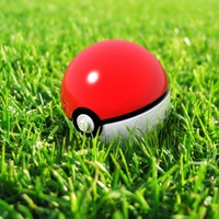 Pokeball In Grass