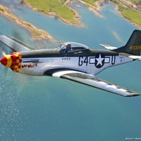 P51 Wee Willy II